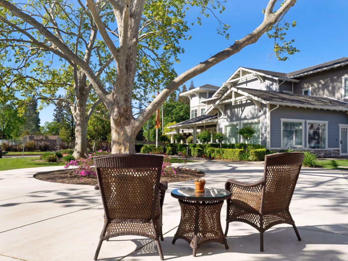 Outdoor seating area with two wicker chairs and a small round table with a potted plant, set on a concrete patio surrounded by trees and greenery, with a large gray building in the background under a clear blue sky.