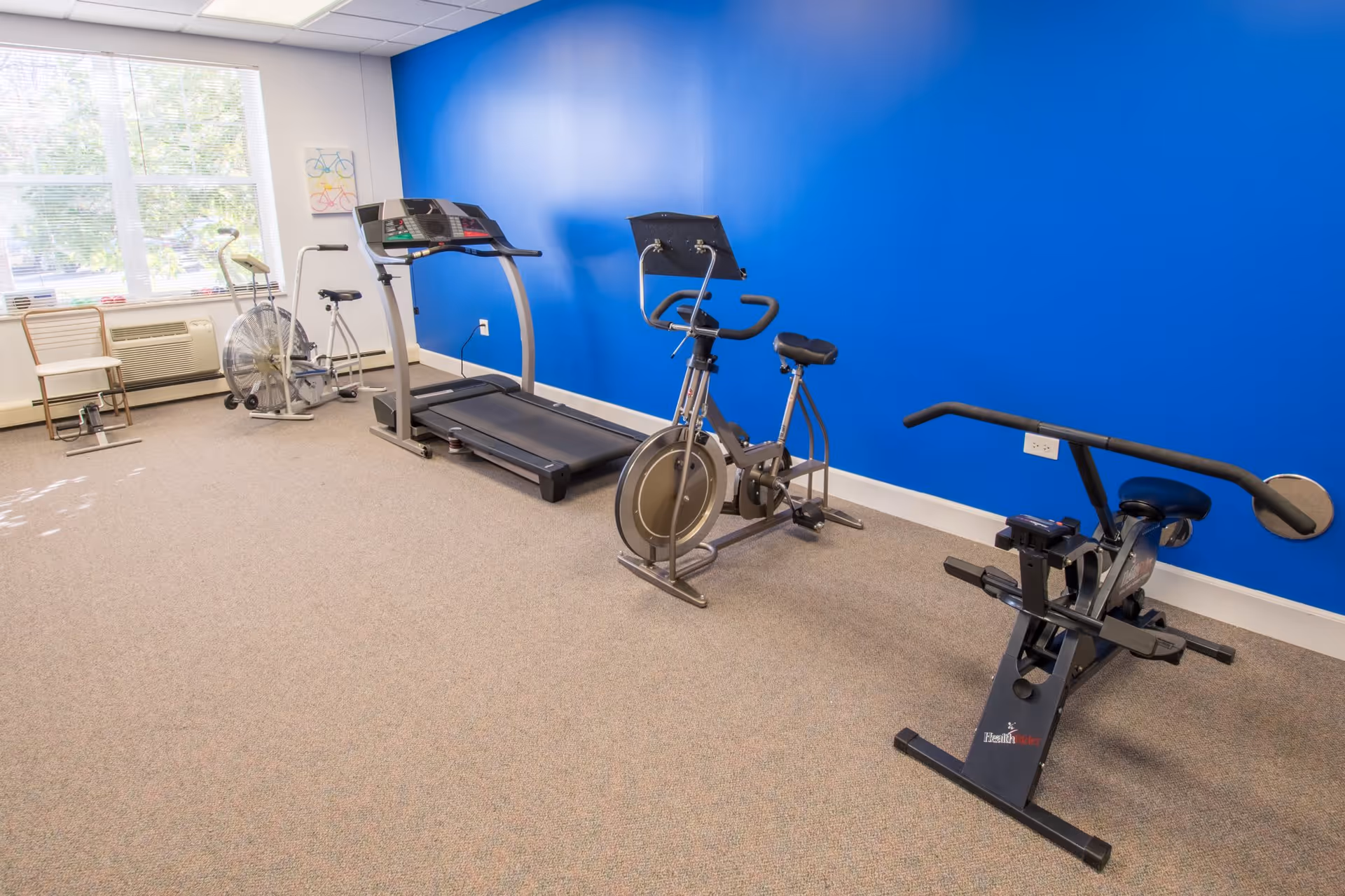 A small exercise room with a treadmill, stationary bike, rowing machine, and an air bike. The room has a bright blue accent wall, beige carpet, and a large window letting in natural light. There are two chairs and a small table near the window.