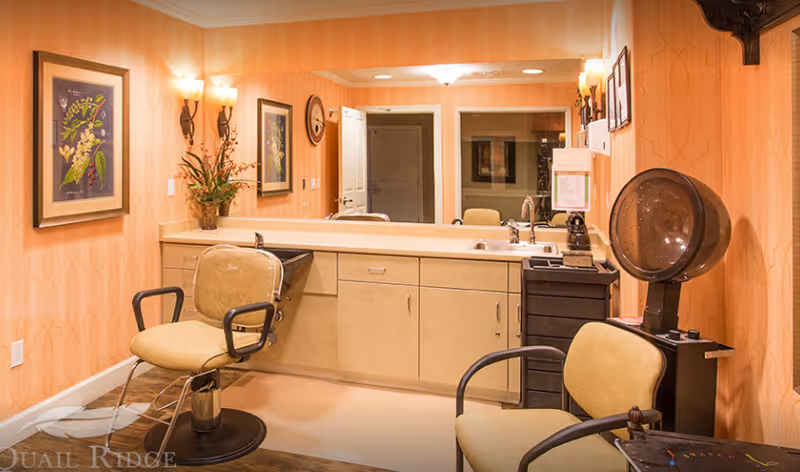 Interior of a salon area in an assisted living facility with two beige salon chairs, a hair dryer, a large mirror above a countertop with cabinets, and framed artwork on the peach-colored walls.
