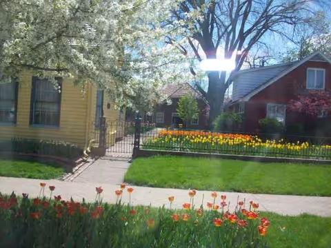 Sunny residential exterior with tulip beds, green lawn, and colorful houses along a walkway.
