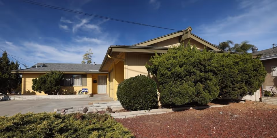 Single-story yellow residential building with large trimmed bushes, a driveway, and clear blue sky.