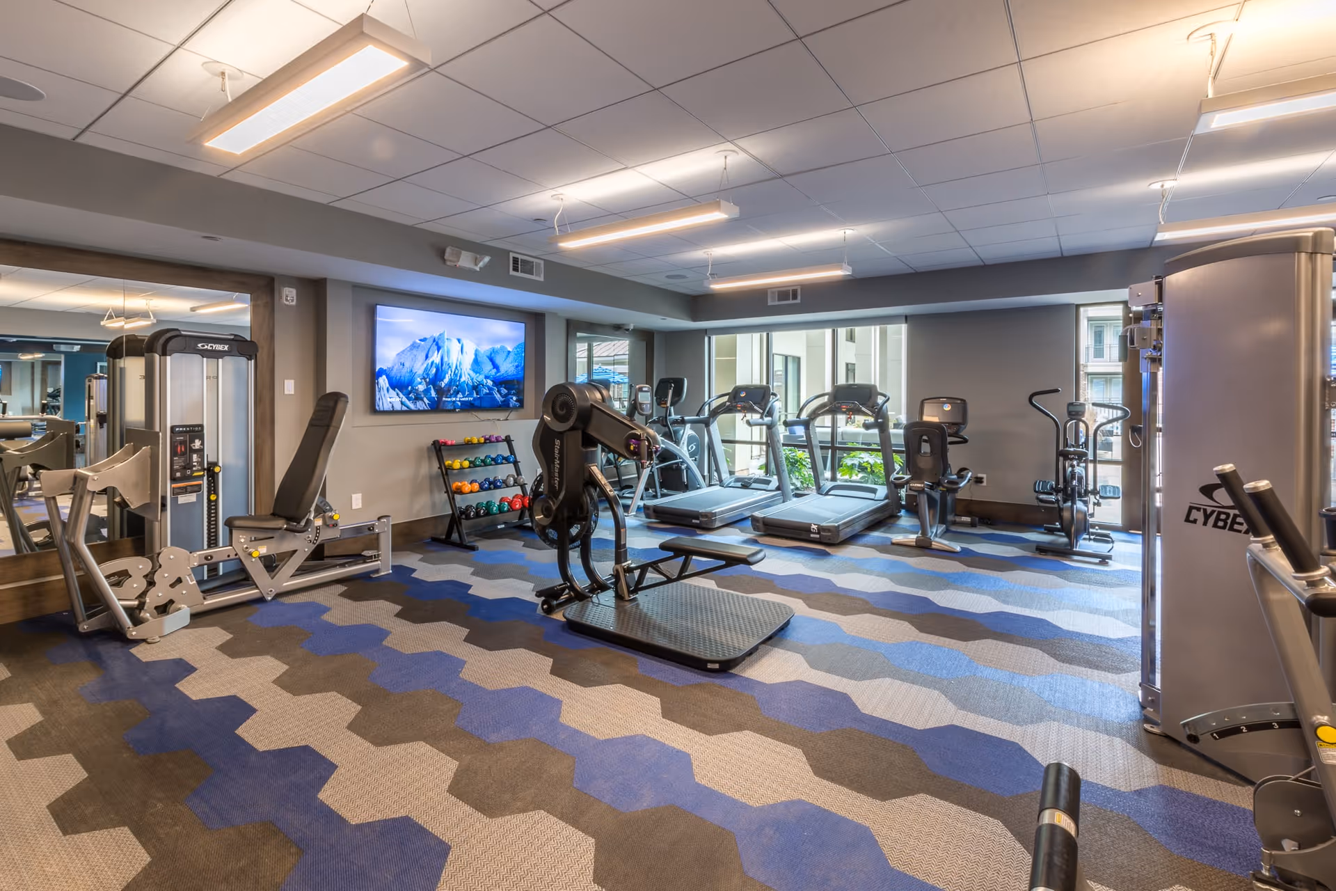 A modern fitness center with various exercise equipment including treadmills, stationary bikes, weight machines, and a rack of colorful dumbbells. The room has large windows letting in natural light, a patterned blue and gray carpet, and a large flat-screen TV mounted on the wall.