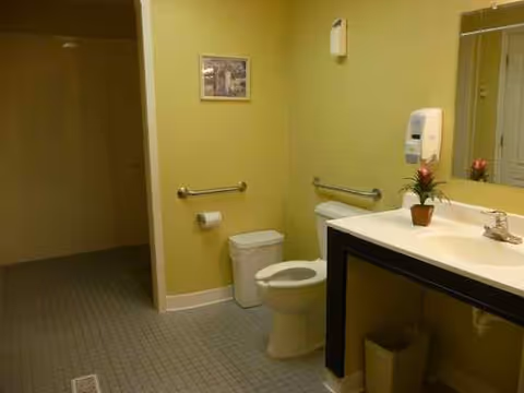 Accessible bathroom with toilet, sink, grab bars, mirror, and potted plant on counter.