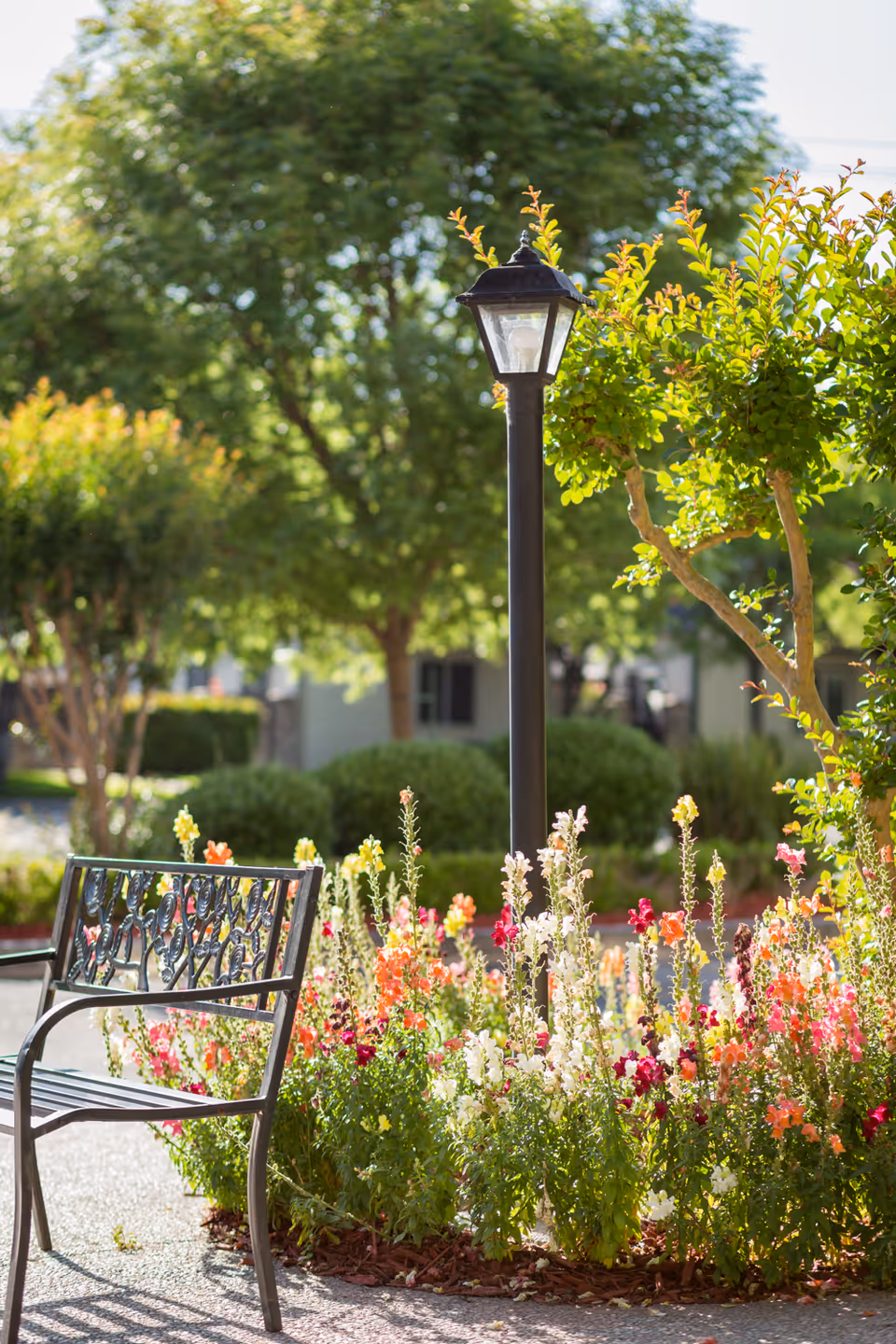 A peaceful outdoor garden area with a black metal bench, colorful blooming flowers, a black lamp post, and green trees in the background on a sunny day.