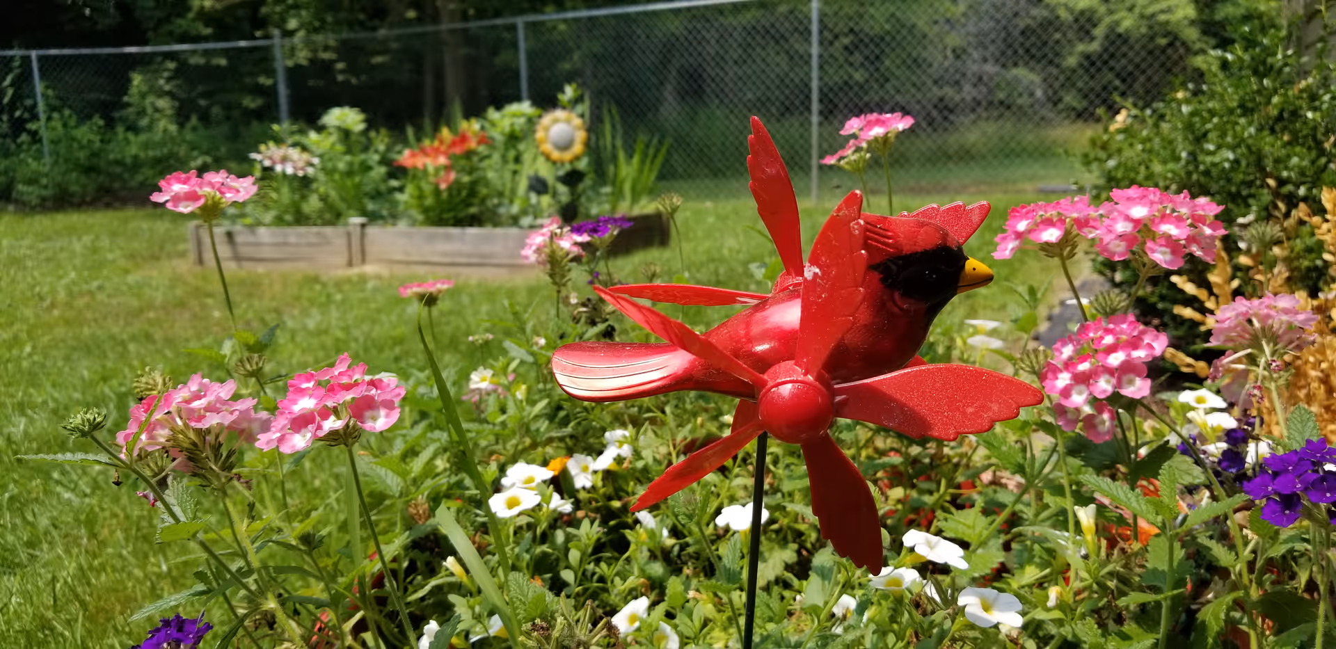 A colorful garden with various flowers including pink, white, and purple blooms. In the foreground, there is a red bird-shaped garden ornament with spinning wings. In the background, a wooden raised garden bed and a chain-link fence are visible.