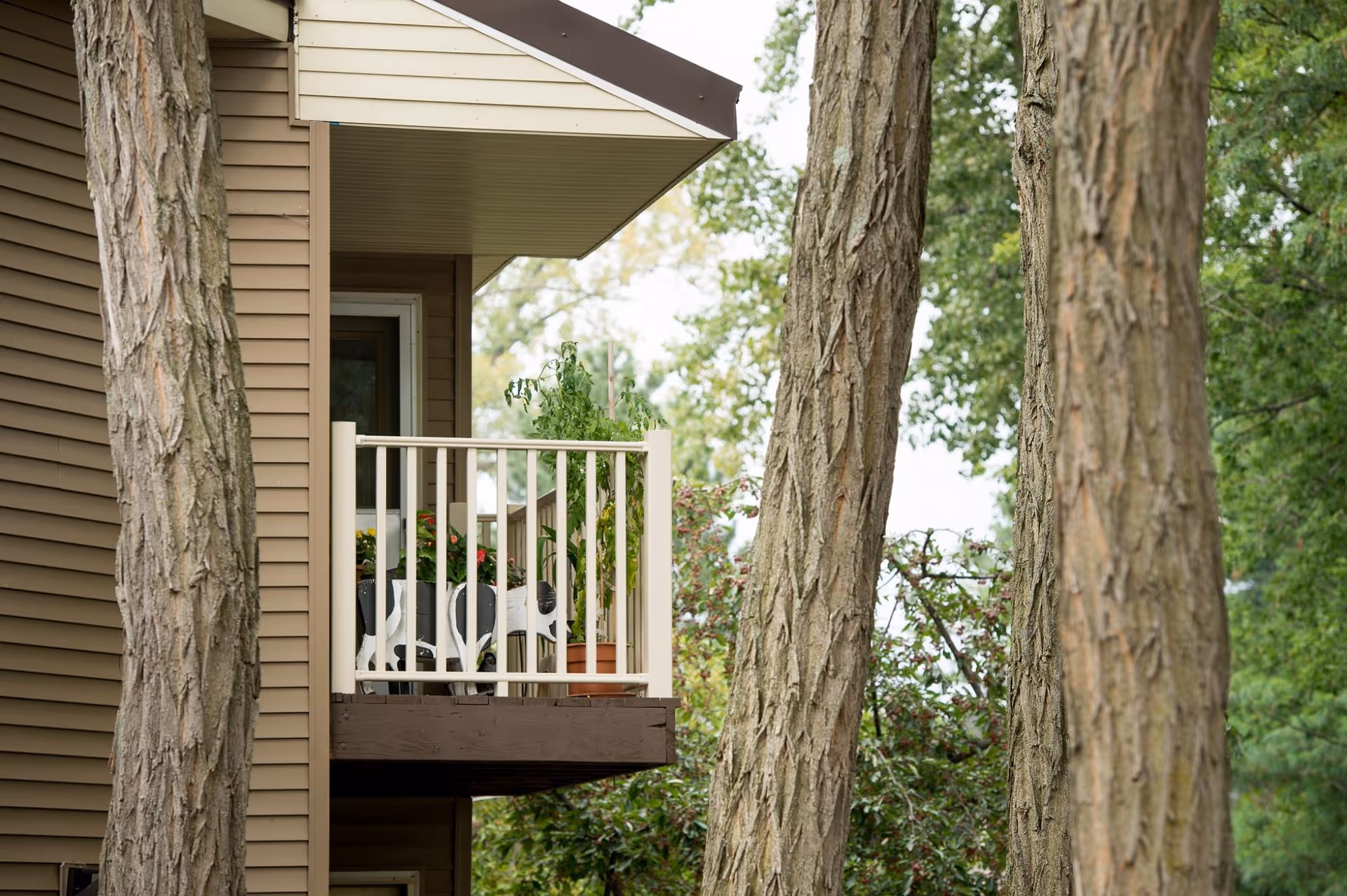 A small balcony attached to a beige building with white railing, featuring potted plants and a white chair, surrounded by tall trees with textured bark and green foliage in the background.
