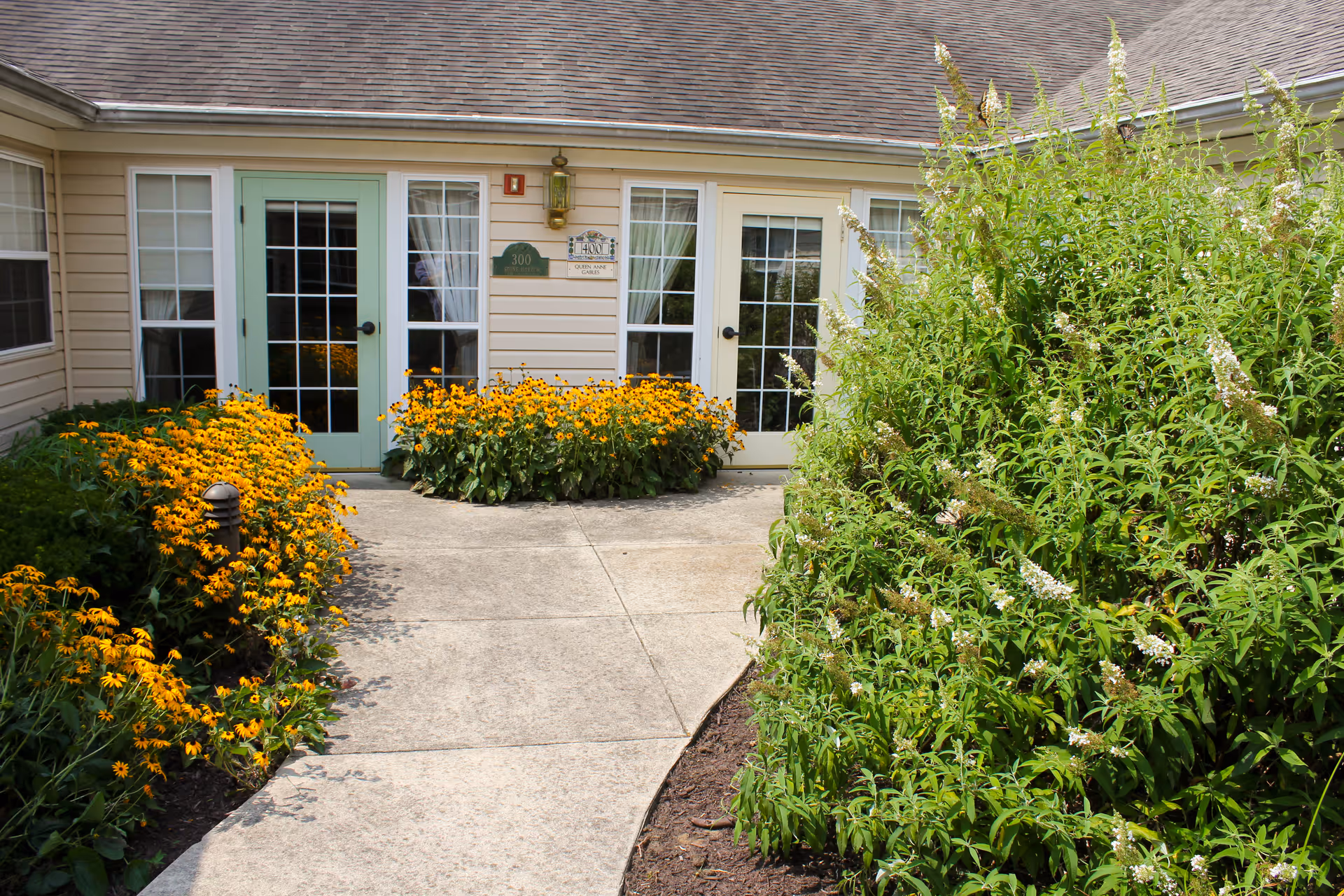 A concrete pathway leads to double glass doors of a single-story building flanked by yellow flowers and green shrubs.
