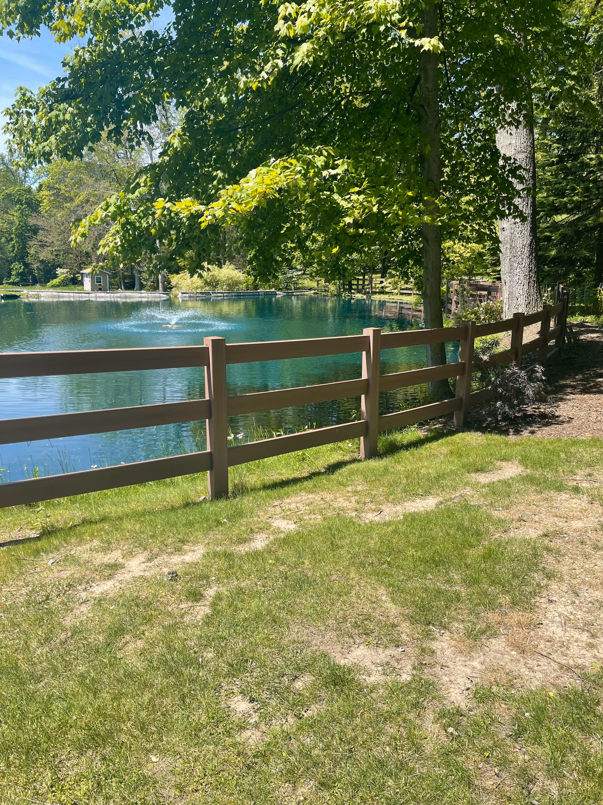 A peaceful outdoor scene featuring a small pond with a water fountain in the center, surrounded by lush green trees and grass. A wooden fence runs along the edge of the pond, and there is a small shed visible in the background under a clear blue sky.