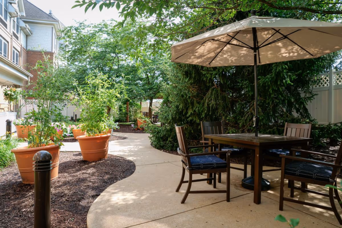 Outdoor patio area with a table, chairs and umbrella, potted plants, and a curved walkway amid trees.