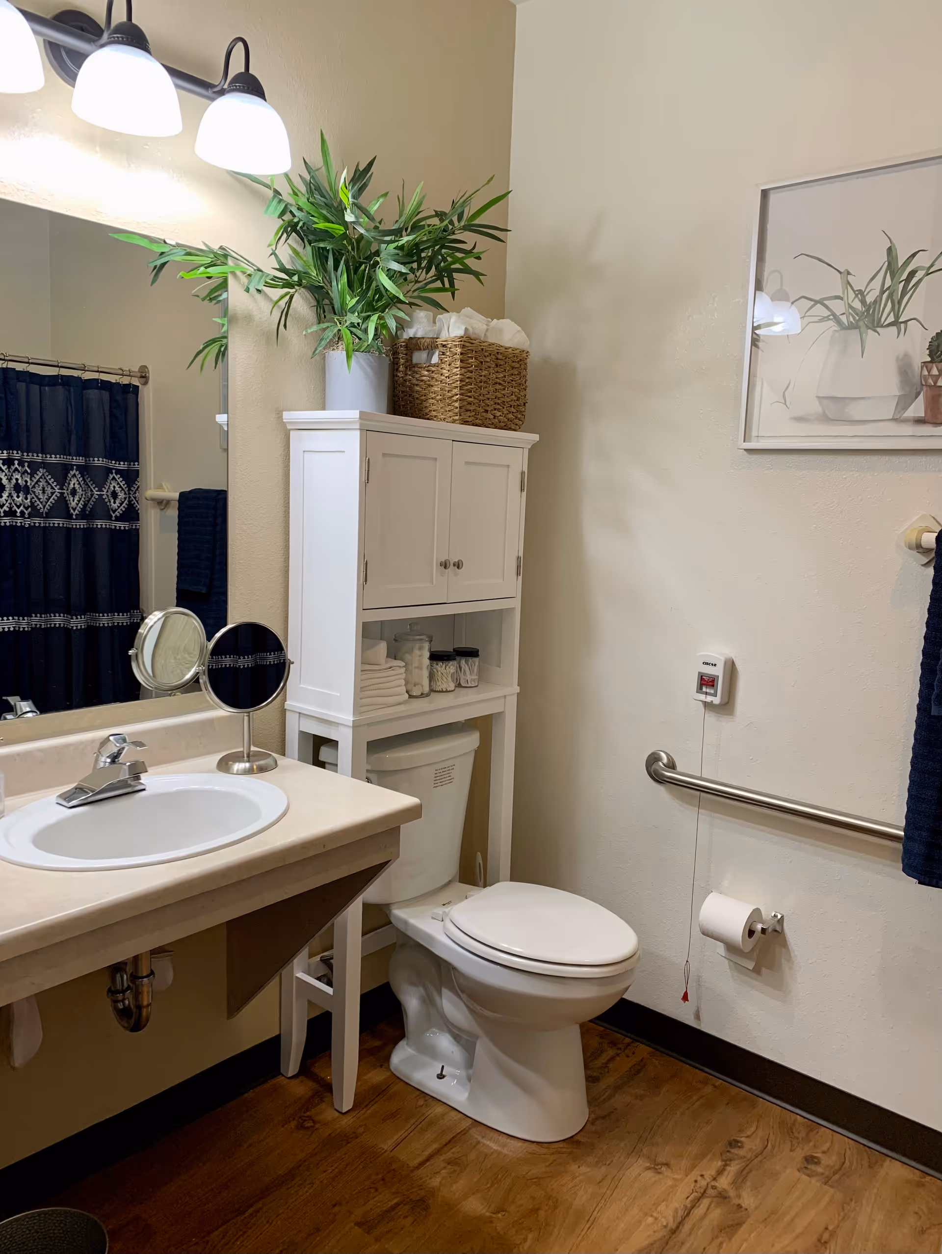 Accessible bathroom with a sink and mirror, a toilet beneath an over-toilet storage cabinet topped with a plant, and a wall grab bar.