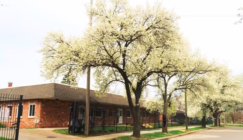Exterior view of a single-story brick building with a brown roof, surrounded by a black metal fence. Several trees with white blossoms line the sidewalk in front of the building under a bright sky.