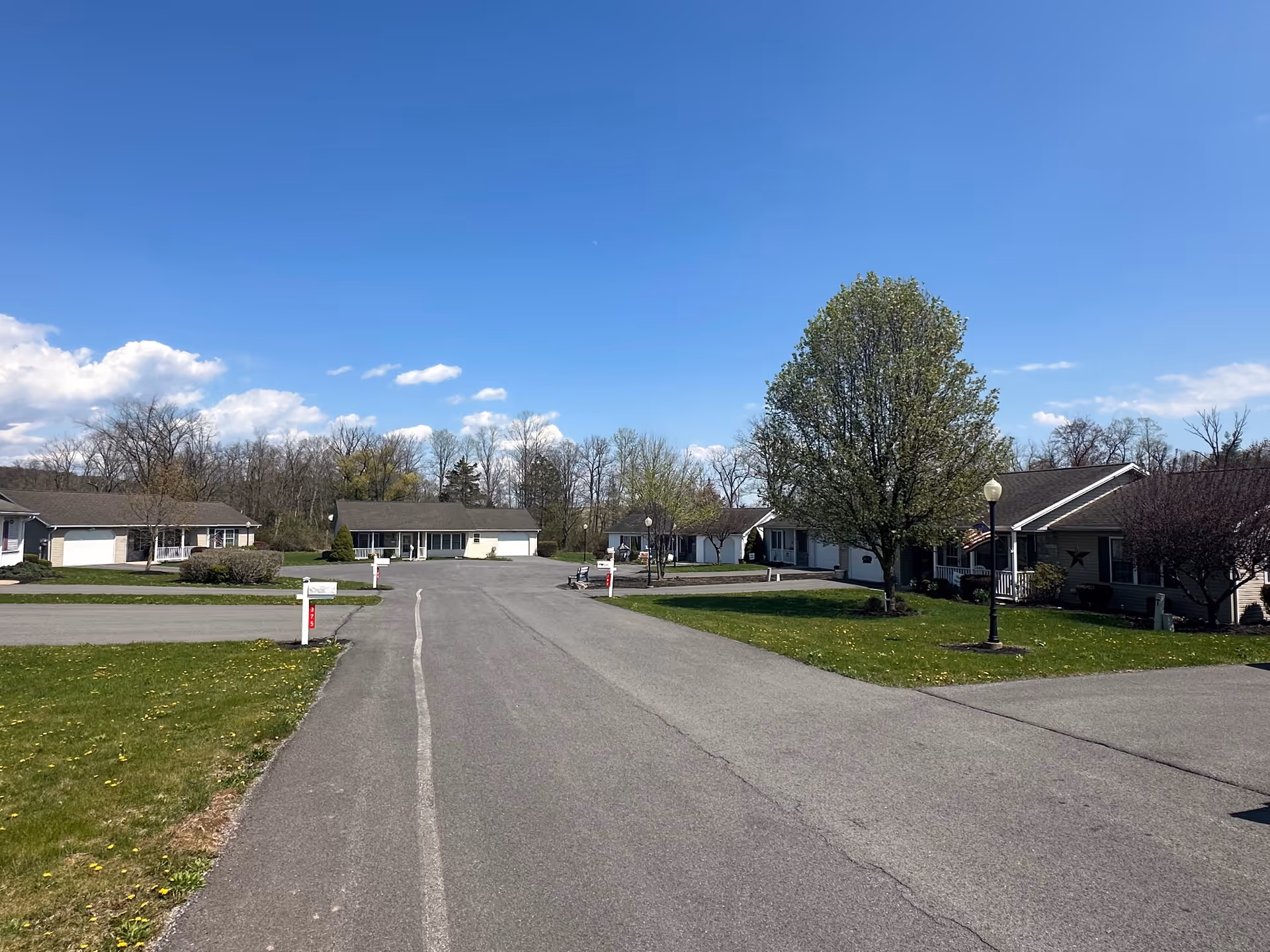 A clear sunny day view of a residential area within a senior living community. The image shows a paved road lined with small single-story houses, green lawns, trees, and street lamps. The sky is bright blue with a few scattered clouds.