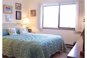 A cozy bedroom with a large window covered by white curtains, a bed with a green quilted bedspread and decorative pillows, a bedside table with a lamp, and framed pictures hanging on the wall.