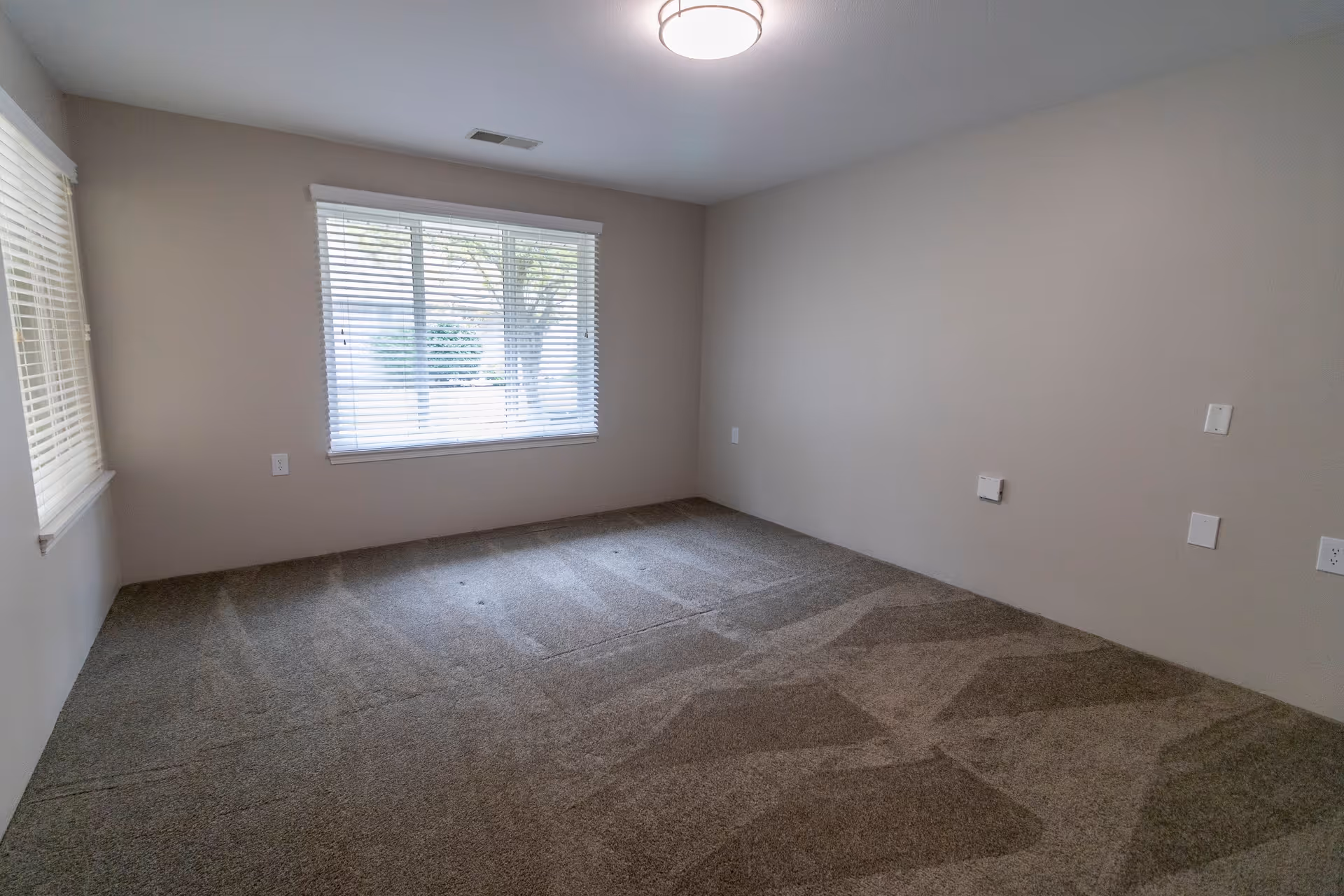 Empty room with beige walls and carpeted floor, two windows with white blinds allowing natural light, and a ceiling light fixture.