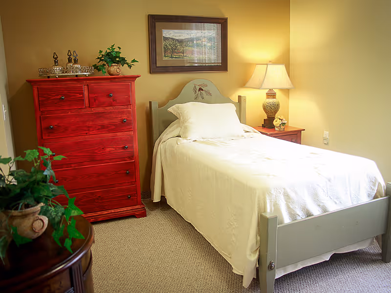 A cozy bedroom with a single bed covered in a white bedspread. Next to the bed is a wooden nightstand with a decorative lamp and a small flower arrangement. A red wooden dresser with several drawers stands against the wall, topped with a small plant and decorative items. A framed landscape painting hangs above the bed. The room has beige walls and carpeted flooring.