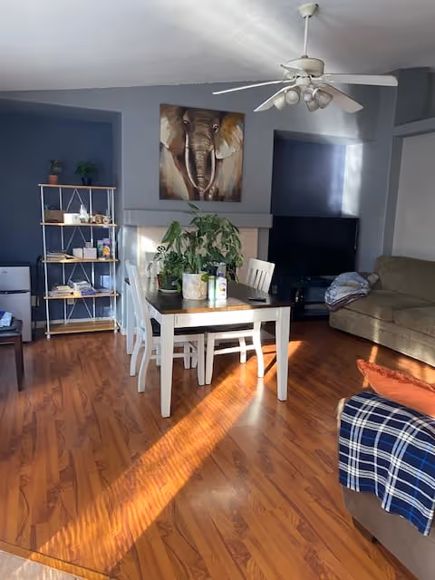 Bright living room and dining area with a wooden dining table and chairs, a potted plant, an elephant painting above a mantle, TV, sofa, ceiling fan, and hardwood floors.