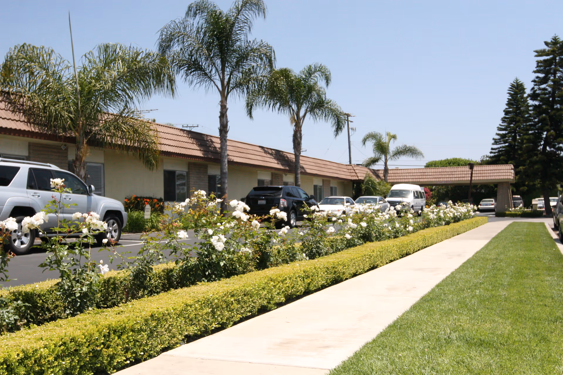 Exterior view of Mission Palms Healthcare Center showing a single-story building with a tiled roof, palm trees, a row of white flowering bushes, a sidewalk, and several parked cars under a clear blue sky.