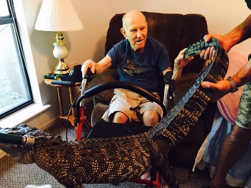 An elderly man sitting in a recliner chair inside a living room, holding the tail of a large alligator that is restrained by another person. The man is smiling and using a walker. There is a lamp and a side table with a remote control near the window.