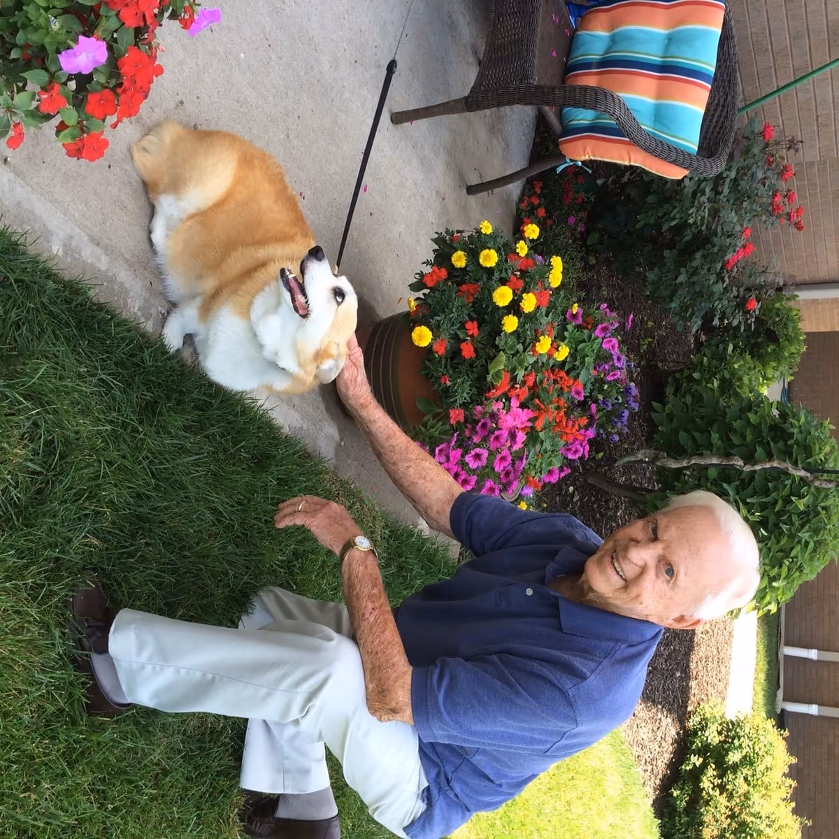 An elderly man with white hair wearing a blue shirt and light-colored pants is sitting on the grass next to a concrete path, petting a small, fluffy dog with a leash. They are surrounded by colorful flowers and greenery, with a wicker chair that has a striped cushion nearby.