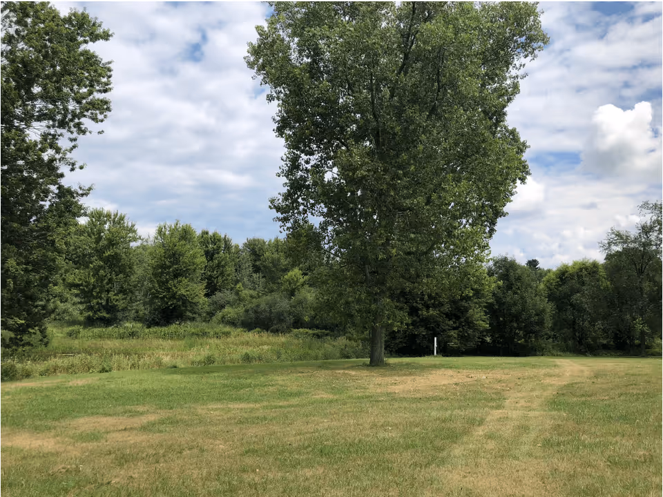 A grassy outdoor area with a large tree in the center and several other trees in the background under a partly cloudy sky.