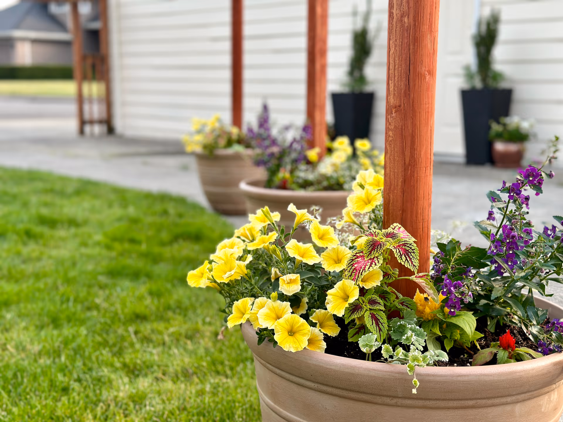 Large beige planter filled with vibrant yellow, purple, and red flowers placed on a grassy area near a building with white siding and wooden posts.