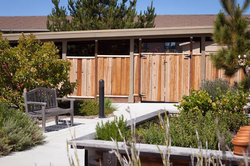 Outdoor garden area with a wooden bench on a concrete pathway, surrounded by various green shrubs and plants. A wooden fence and gate are visible in the background under a clear blue sky.