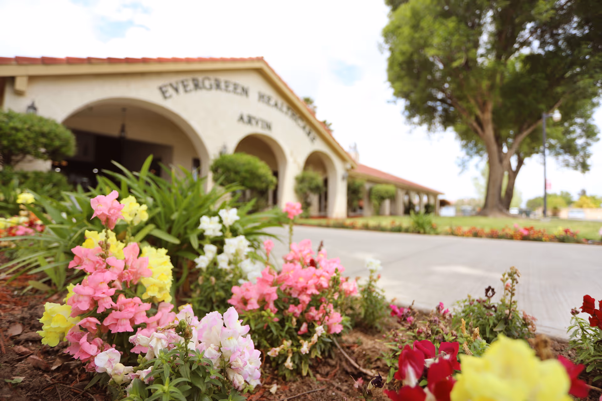 Colorful flower bed in front of the Arvin Post Acute building's arched entrance and a large tree on the lawn.