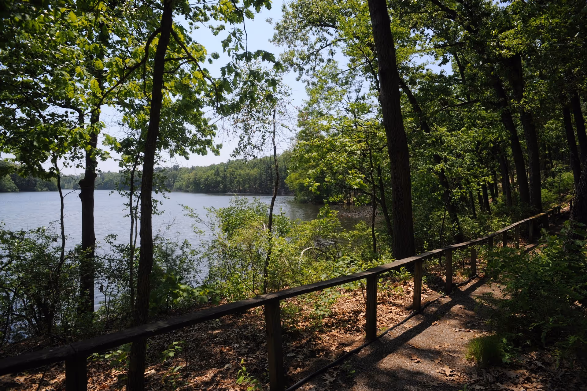 A shaded walking path with a wooden railing runs alongside a lake, surrounded by dense green trees and foliage under a clear sky.