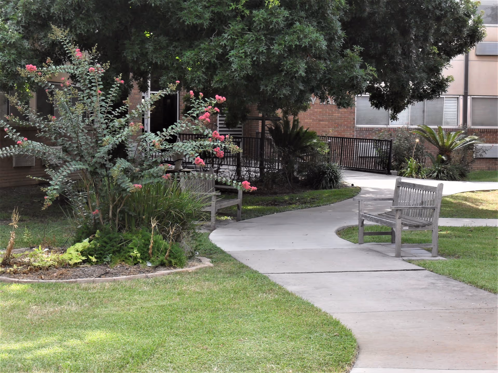 Outdoor garden area with a curved concrete walkway, two wooden benches, green grass, flowering plants with pink blossoms, and a large tree providing shade near a brick building.