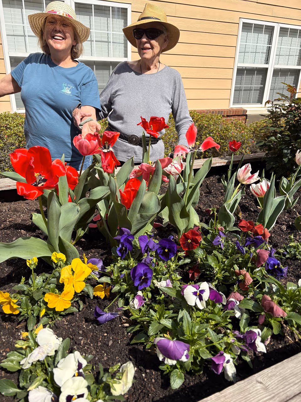 Two elderly women wearing hats stand behind a raised garden bed filled with colorful flowers including red tulips and purple, yellow, and white pansies. They are outdoors in front of a beige building with white-framed windows, enjoying a sunny day.