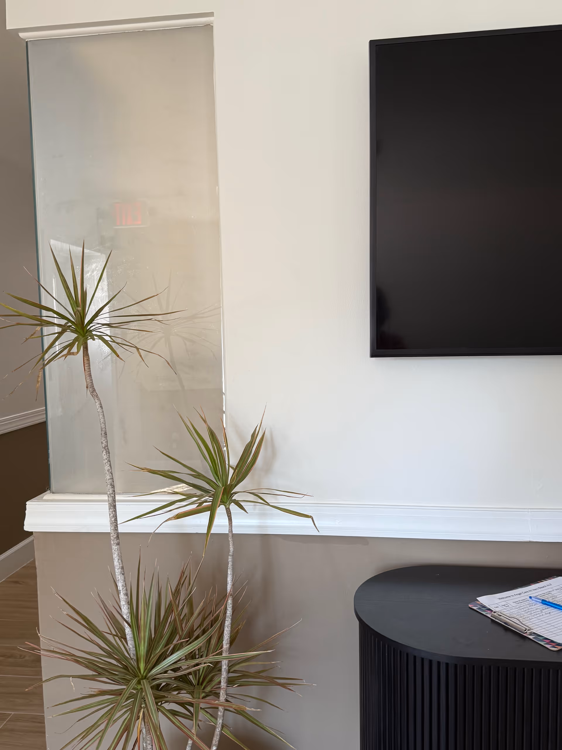 Indoor corner of a room with a tall potted plant with long, thin leaves, a black round table with papers and a pen on it, and a large flat-screen TV mounted on a white wall.