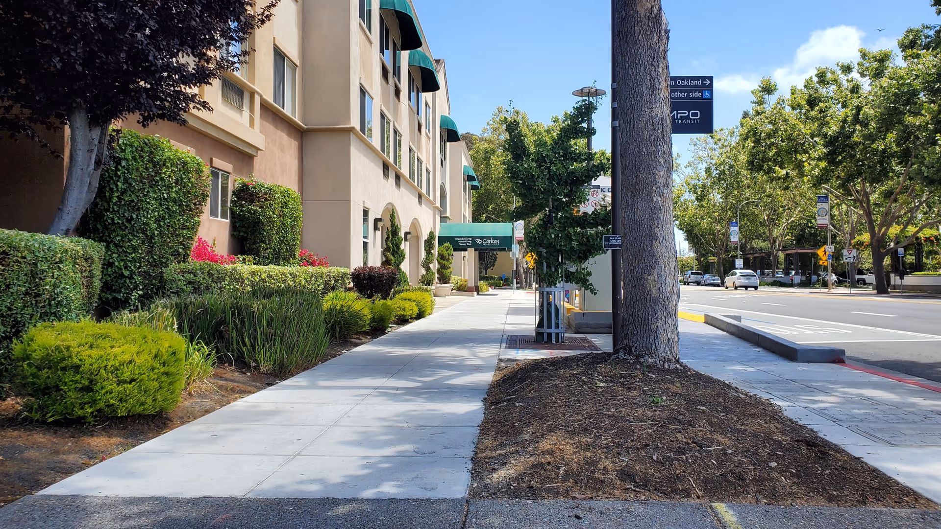 Sidewalk view of Carlton Senior Living San Leandro building with beige exterior walls, green awnings, and well-maintained bushes and trees along the walkway on a sunny day.