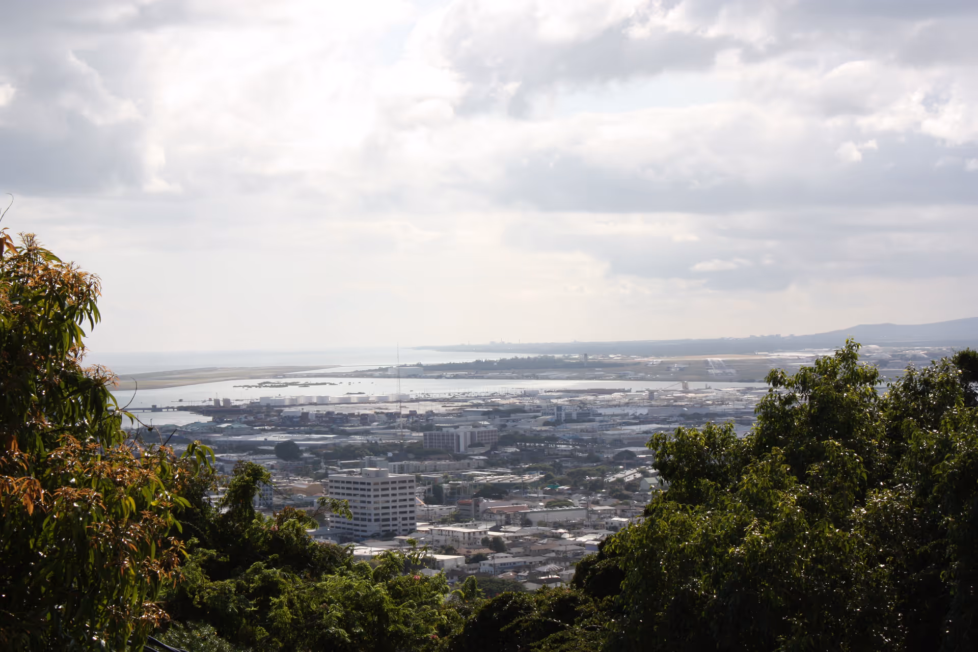 View overlooking a cityscape with buildings, a body of water, and distant mountains under a cloudy sky, framed by green trees in the foreground.