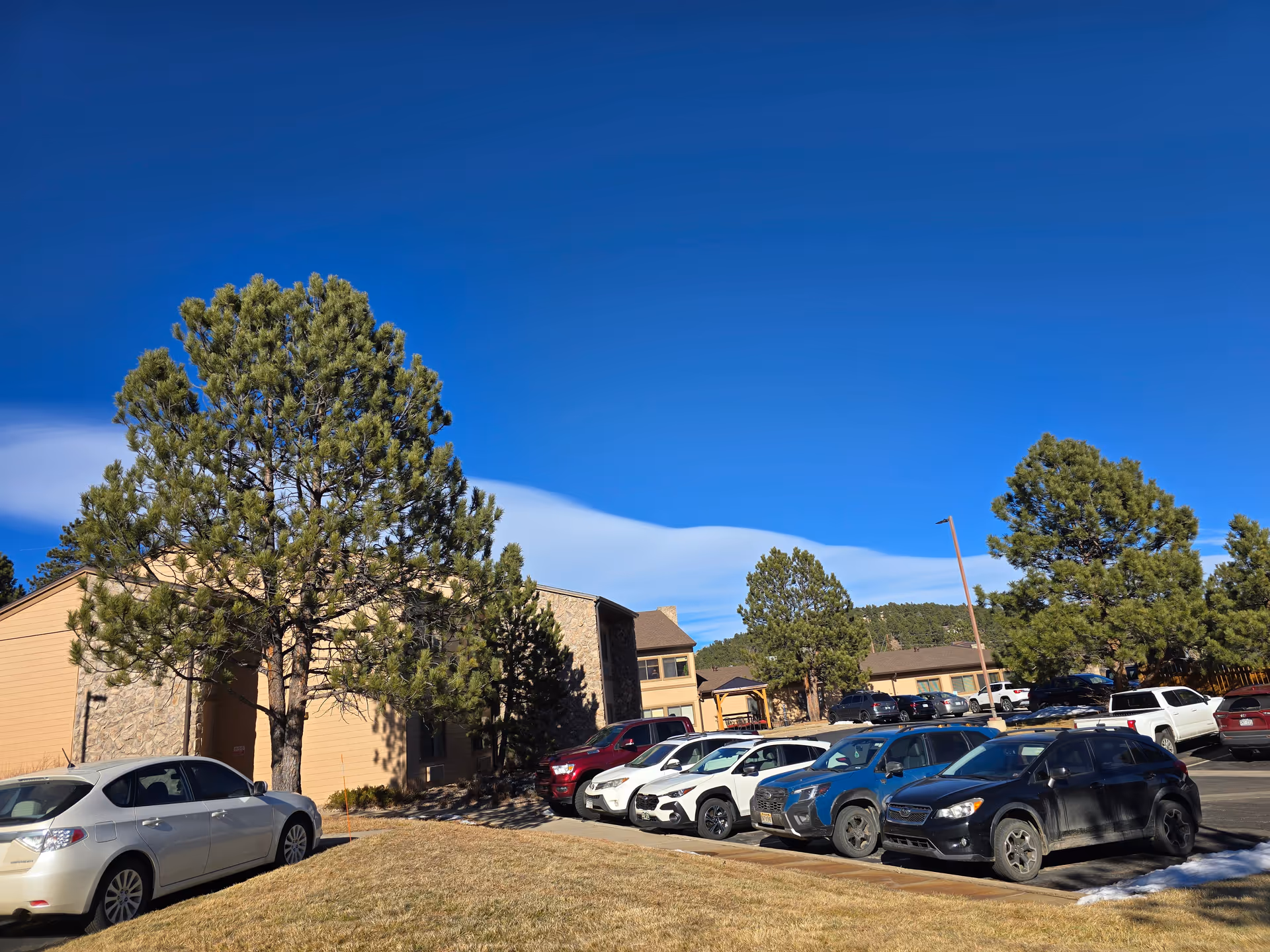 Parking lot with several cars parked in front of a two-story building with stone and wood siding, surrounded by pine trees under a clear blue sky.