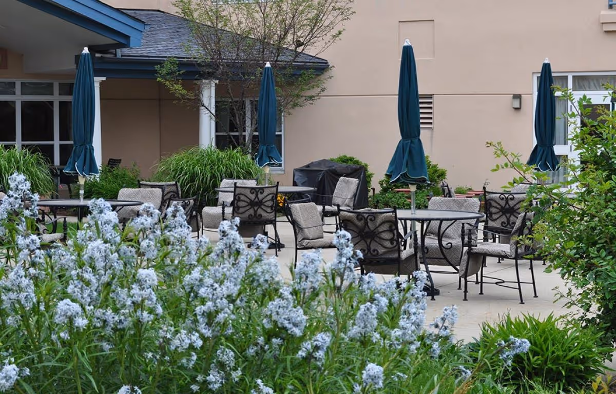 Outdoor patio area with several round tables and cushioned chairs, each table shaded by a closed dark green umbrella. The patio is surrounded by green plants and white flowering bushes, with a beige building wall and windows in the background.