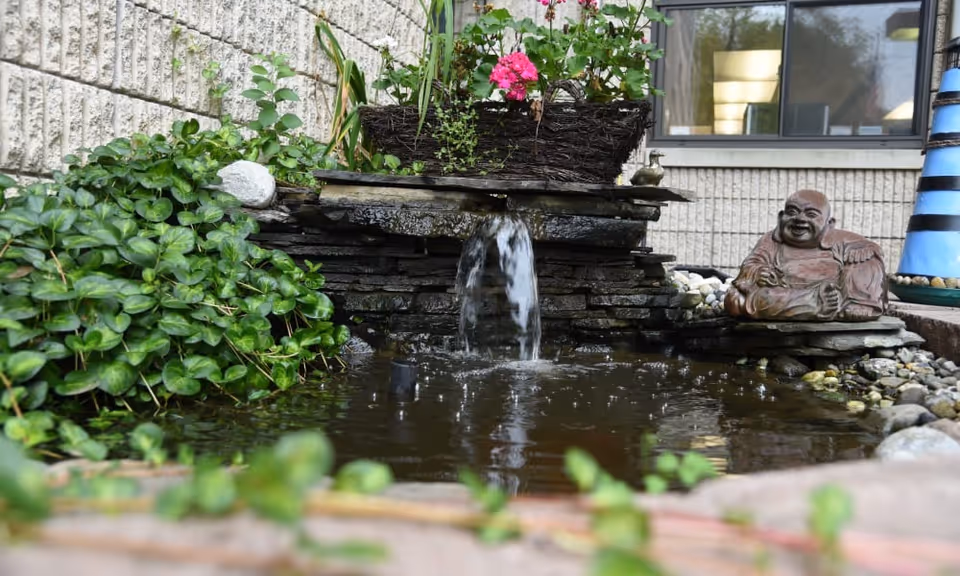 A small outdoor water feature with a stone waterfall flowing into a pond surrounded by green plants. A planter with pink flowers sits on top of the waterfall, and a small statue of a laughing Buddha is placed on the right side near the water. The background shows a textured wall and a window reflecting indoor lights.