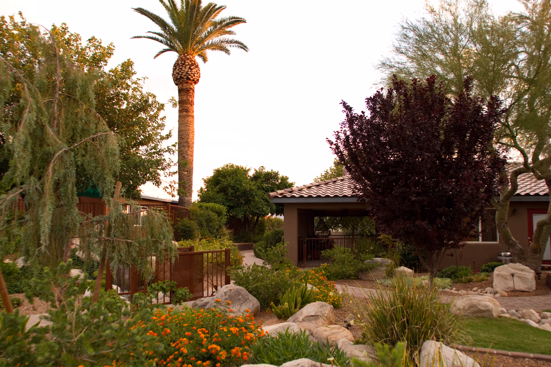 A landscaped outdoor garden area with various trees, shrubs, and flowering plants. There is a tall palm tree, a small building with a tiled roof, and a paved walkway surrounded by rocks and greenery.