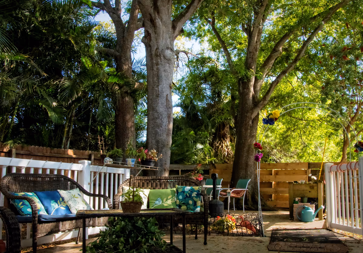 Sunlit outdoor patio with wicker seating and colorful cushions surrounded by trees and potted plants.