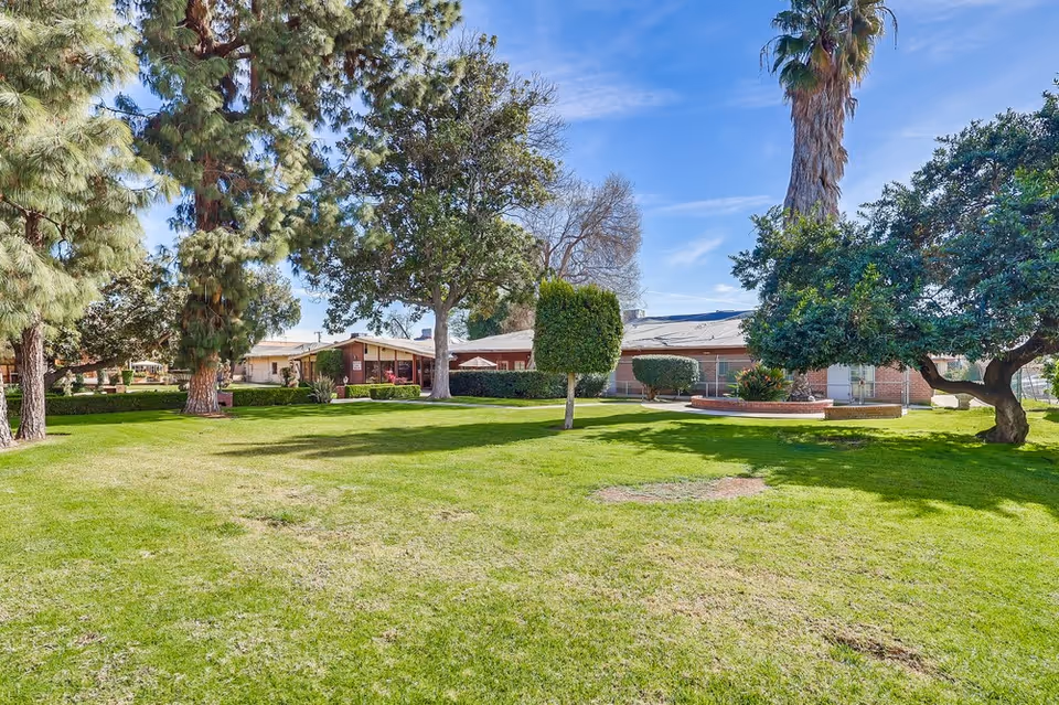 A large grassy lawn with various trees including pine, palm, and trimmed bushes in front of a single-story brick building under a clear blue sky.