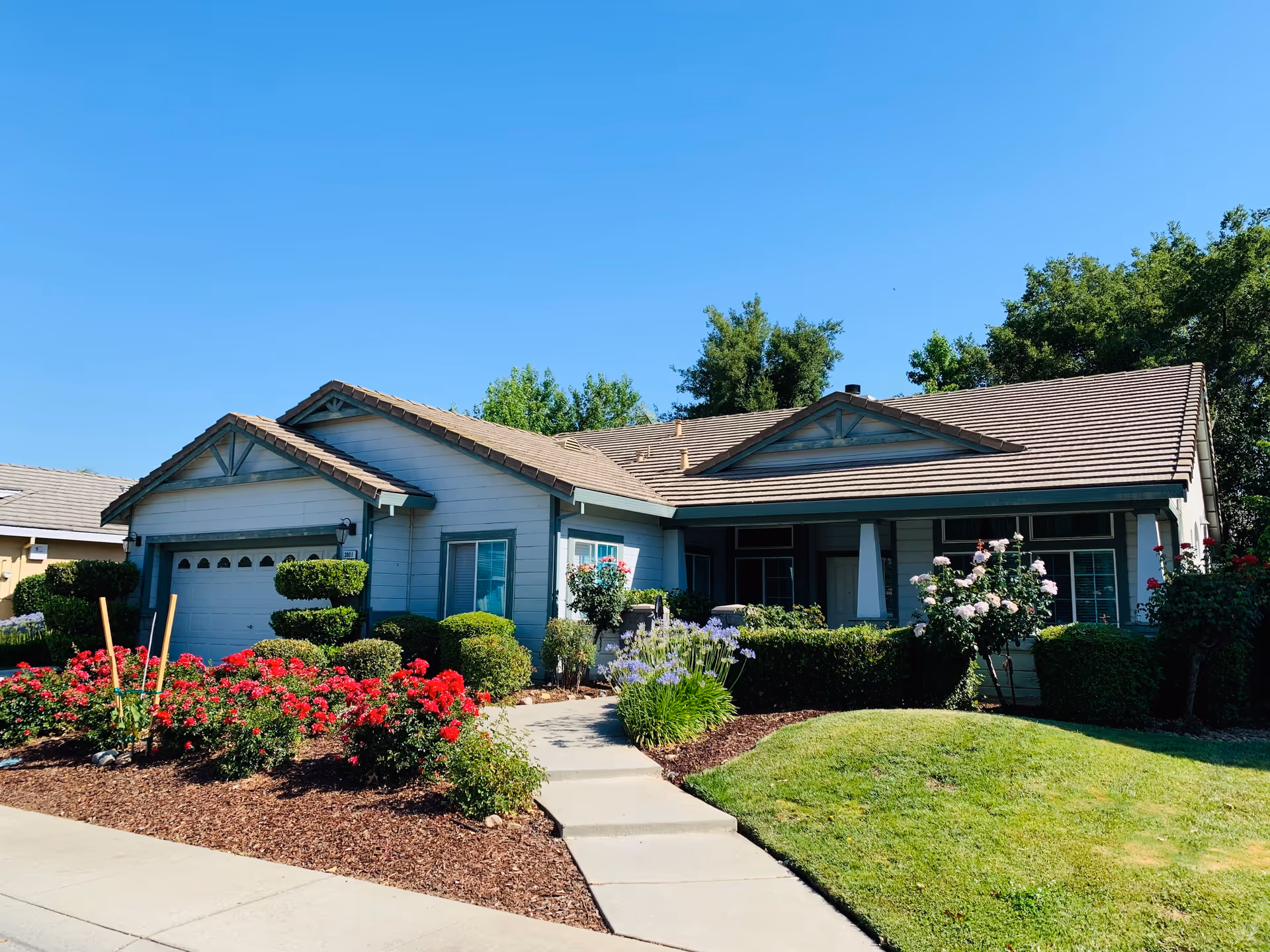 Single-story residential building with a well-maintained front yard featuring green bushes, red and purple flowers, and a concrete walkway leading to the entrance under a clear blue sky.