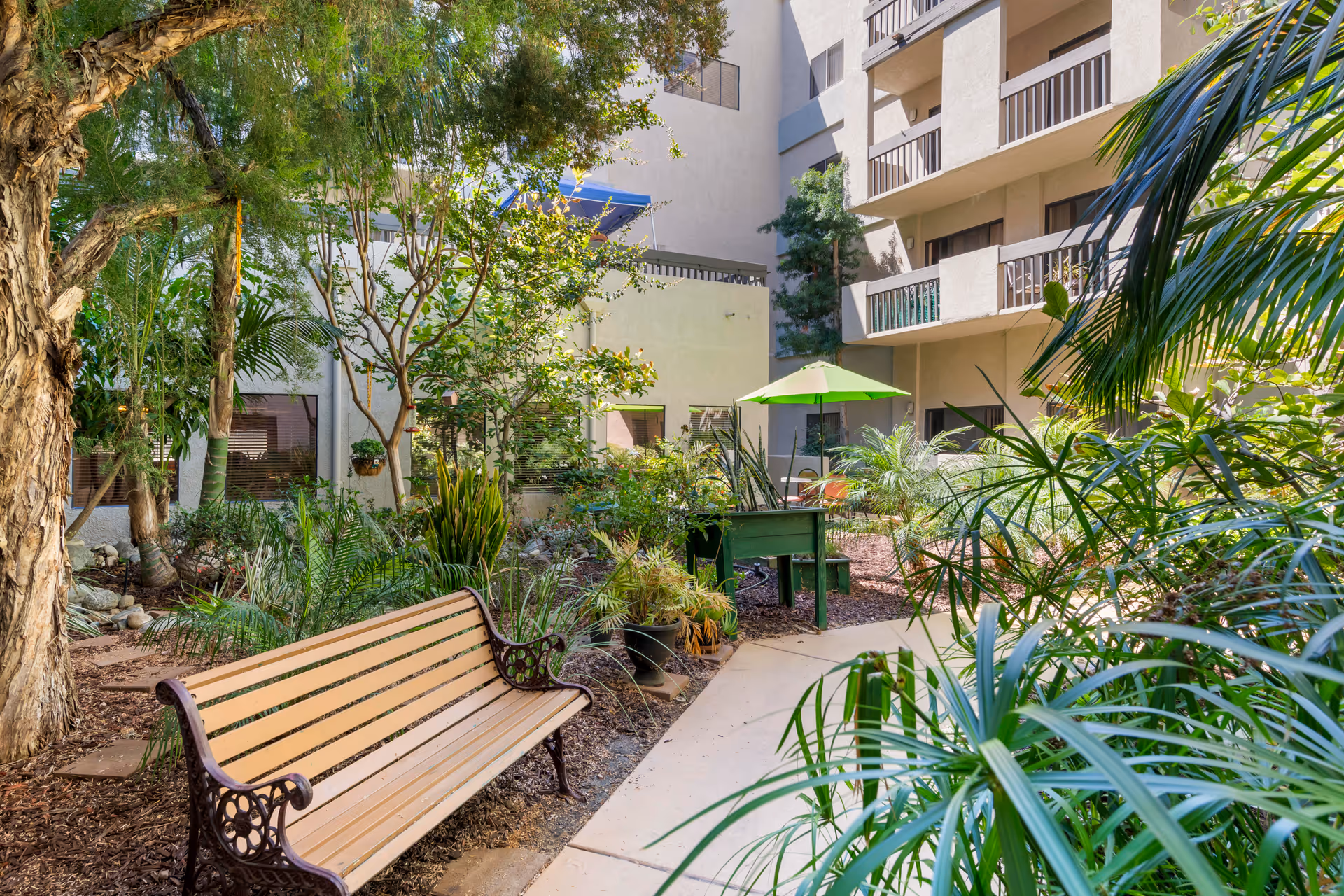 Outdoor garden area at Brookdale Uptown Whittier featuring a wooden bench with decorative metal armrests, surrounded by lush green plants and trees. There is a paved walkway leading to a green table with a bright green umbrella. The background shows a multi-story building with balconies.