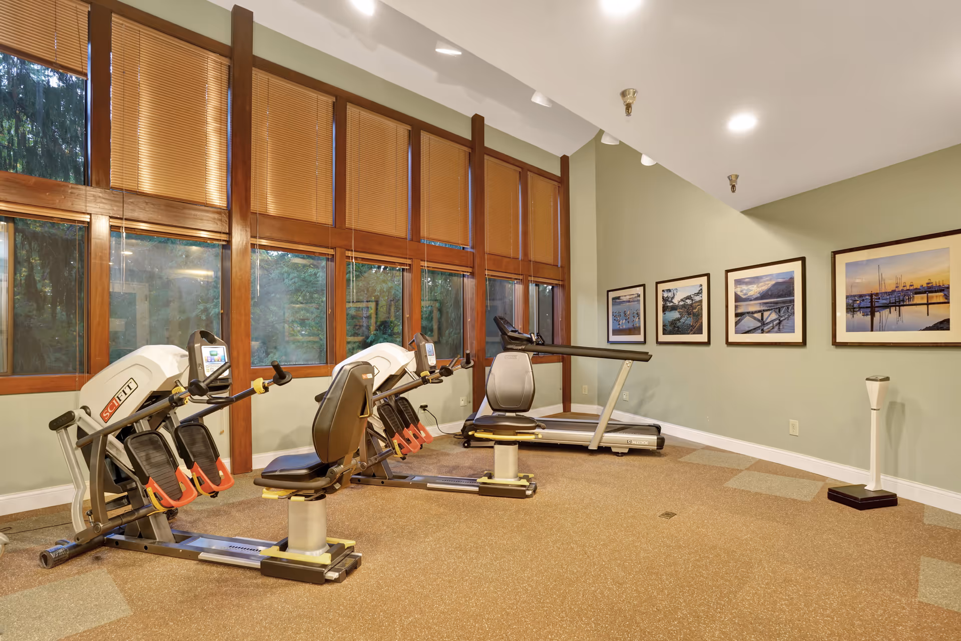 A fitness room with exercise equipment including two seated rowing machines and a treadmill. The room has large windows with wooden frames and blinds, light green walls adorned with framed landscape photographs, and a carpeted floor.