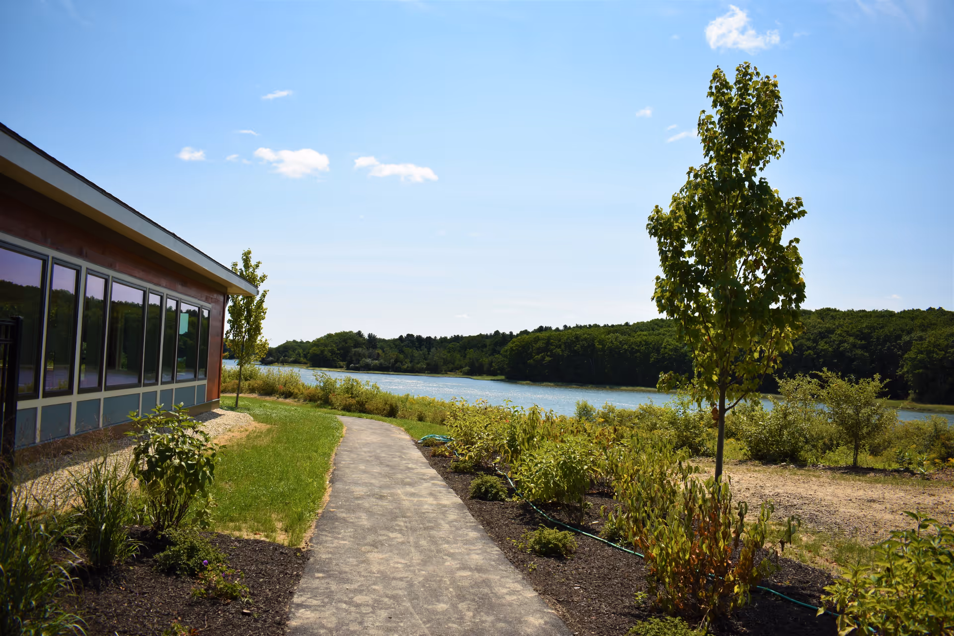 A paved walking path beside a building with large windows, surrounded by landscaped greenery and small trees, leading towards a body of water with a forested area in the background under a clear blue sky.