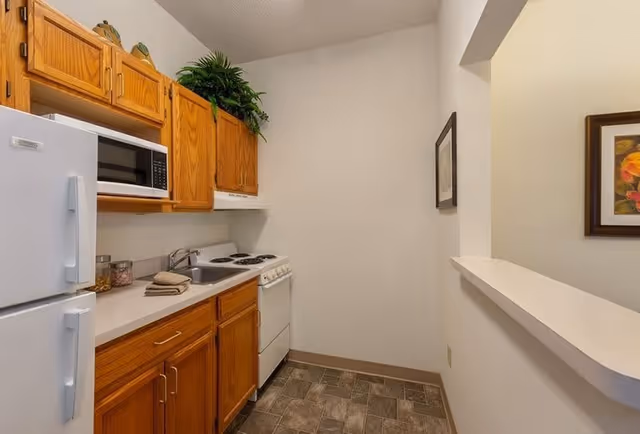 Small kitchen area with wooden cabinets, a white refrigerator, microwave, sink, stove, and a small countertop. There is a plant on top of the cabinets and a framed picture on the wall near a pass-through opening to another room.