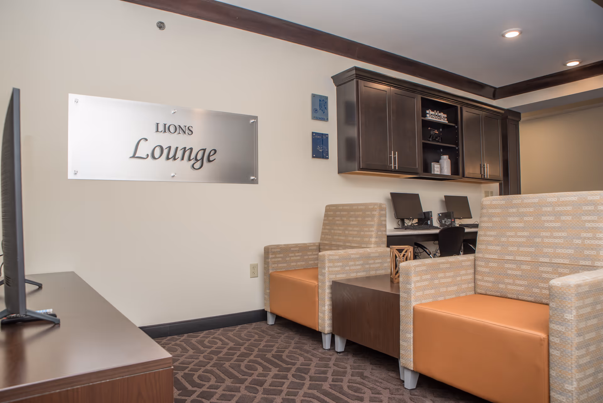 A lounge area with upholstered armchairs, a TV, computer workstations and a wall sign that reads 'Lions Lounge'.