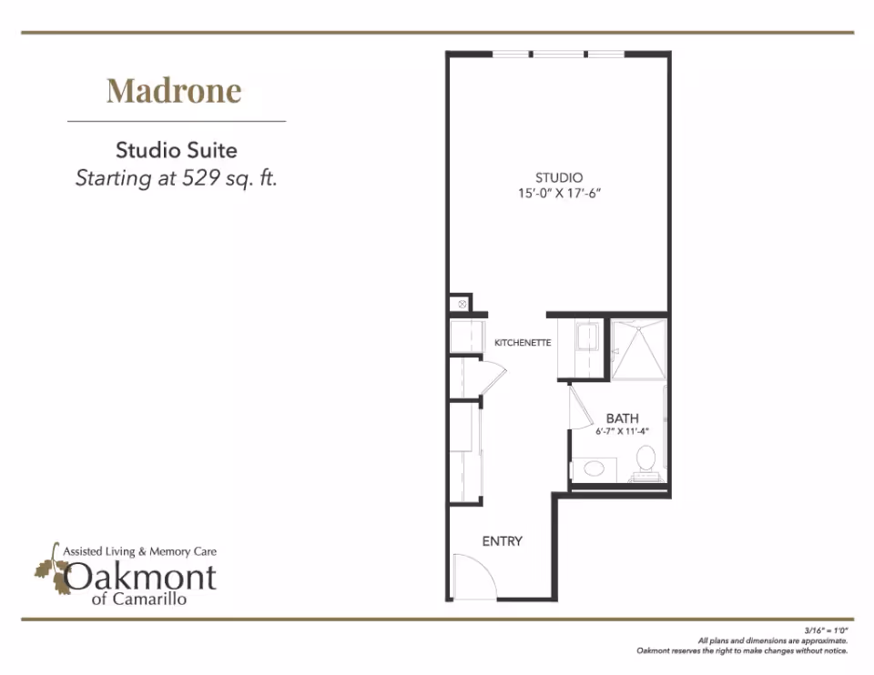Floor plan titled 'Madrone' for a studio suite showing studio area, kitchenette, bath, and entry.