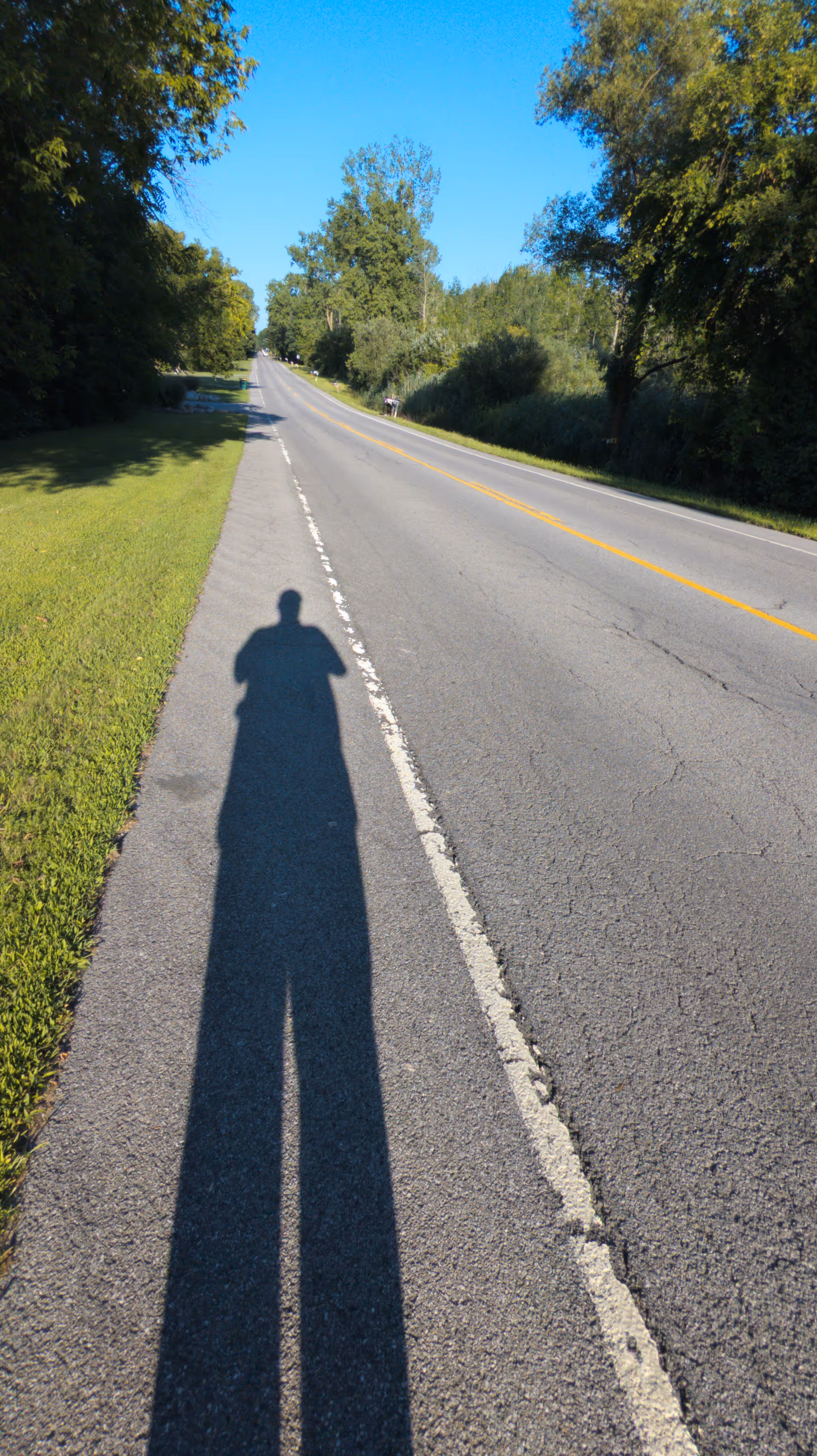 A long shadow of a person cast on a paved road with a grassy area and trees on the left side under a clear blue sky.
