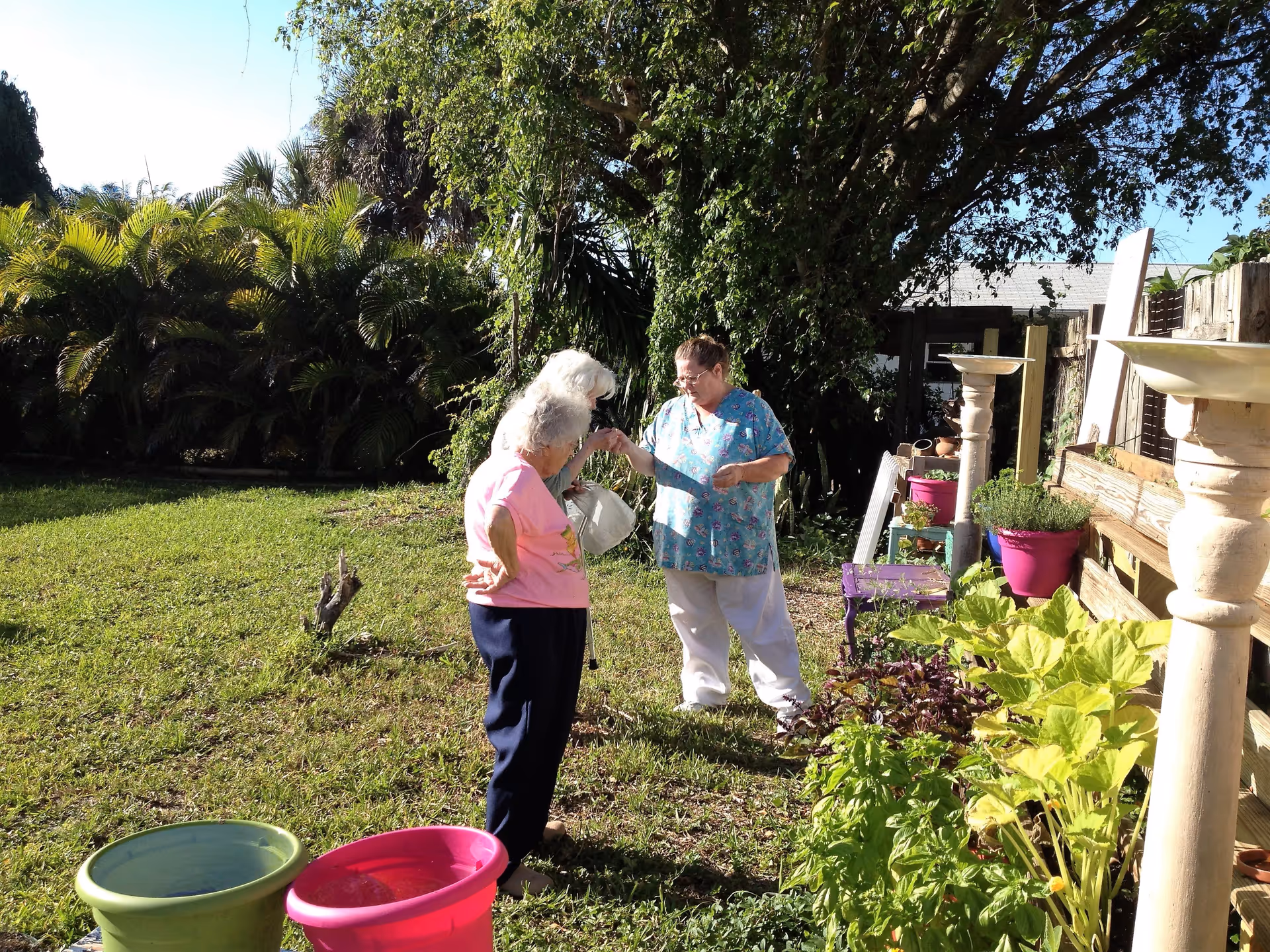 Two elderly women standing and talking in a sunny garden area with lush green plants and trees around them. One woman is wearing a pink shirt and dark pants, and the other is wearing a blue patterned shirt and white pants. There are colorful plant pots and garden decorations nearby.