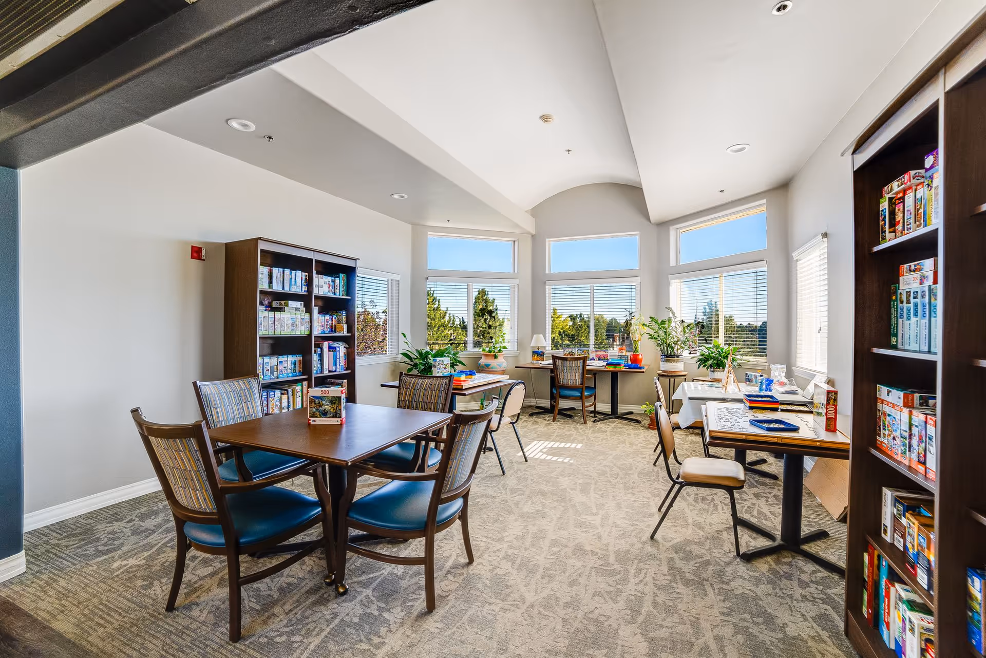 A bright activity room with large windows letting in natural light, several tables and chairs arranged for games and puzzles, bookshelves filled with board games and puzzles, and plants on the windowsills and tables.