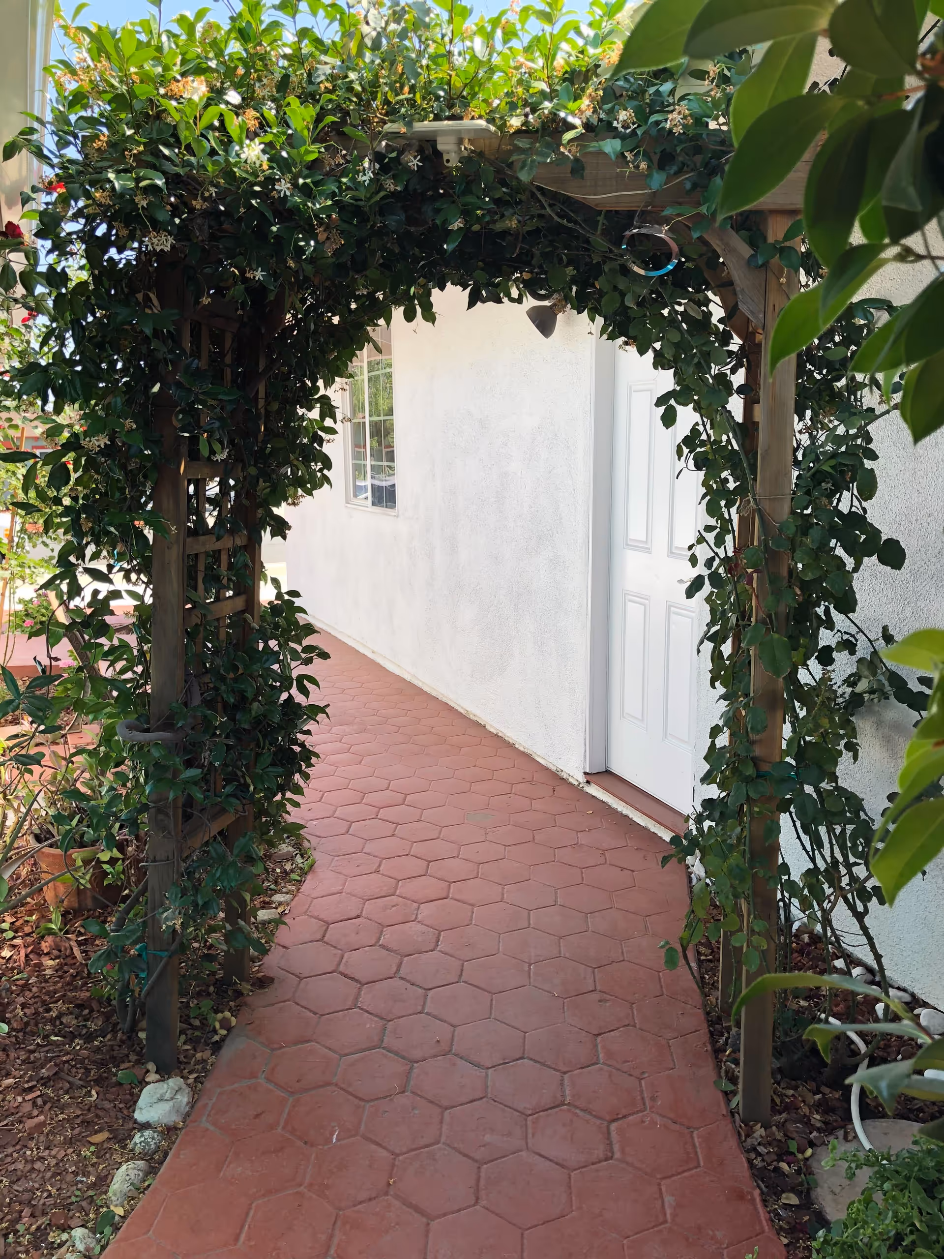 A walkway with red hexagonal tiles leading to a white door on a white building. The walkway is framed by a wooden arch covered with green leafy vines and small white flowers. There are plants and mulch on either side of the walkway.